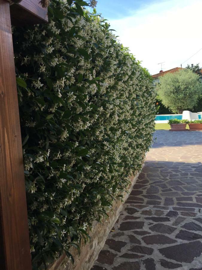 Villa Casa Pietra Del Sole Lucca Exterior foto